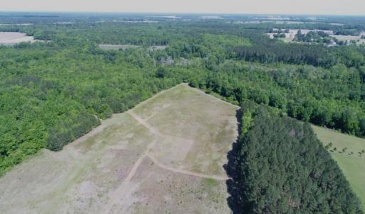 Photo #2 of Off Holland Road, Greenville, NC 20.0 acres